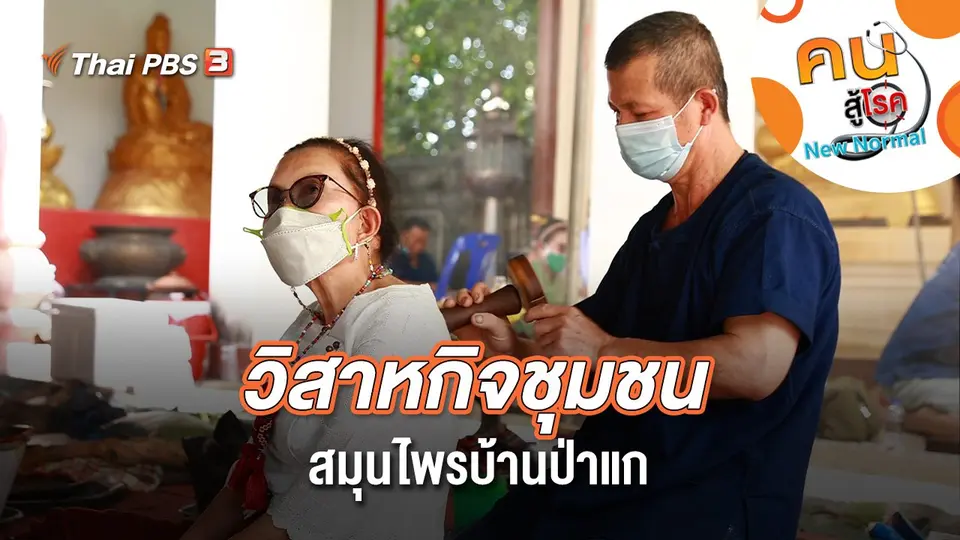 วิสาหกิจชุมชนสมุนไพรบ้านป่าแก