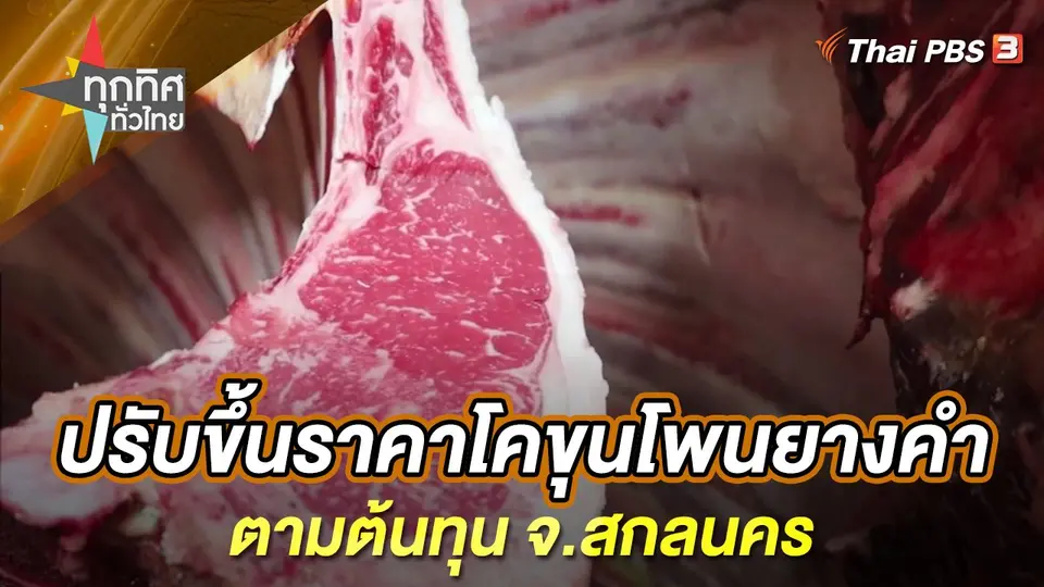 ปรับขึ้นราคาโคขุนโพนยางคำตามต้นทุน จ.สกลนคร