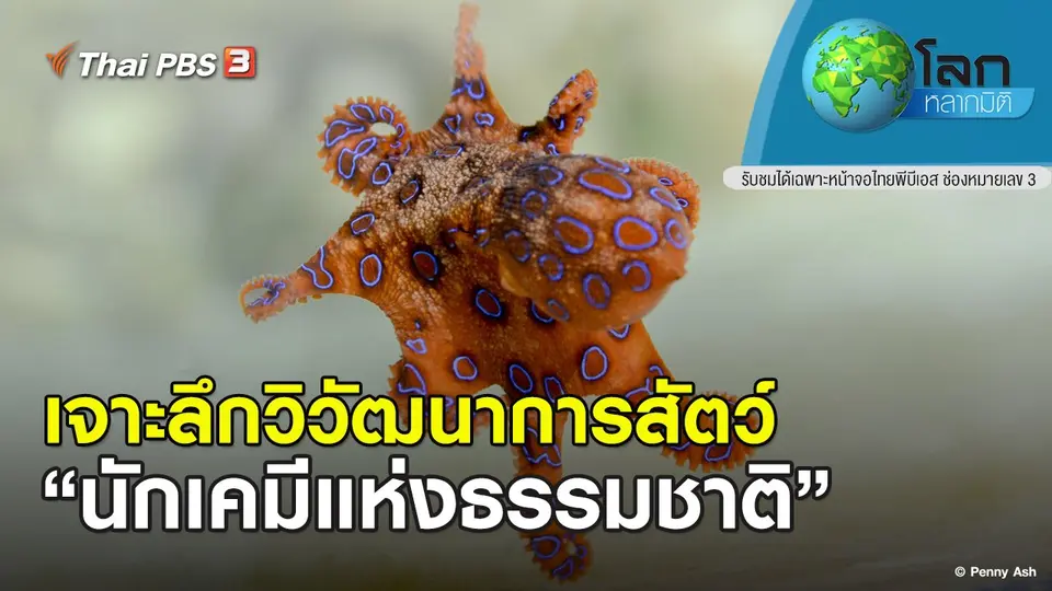 โลกหลากมิติ