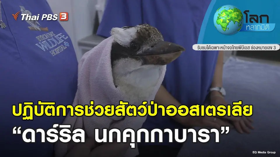 โลกหลากมิติ