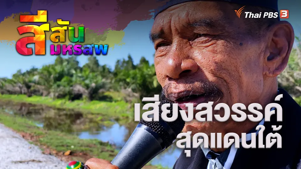 สีสันมหรสพ
