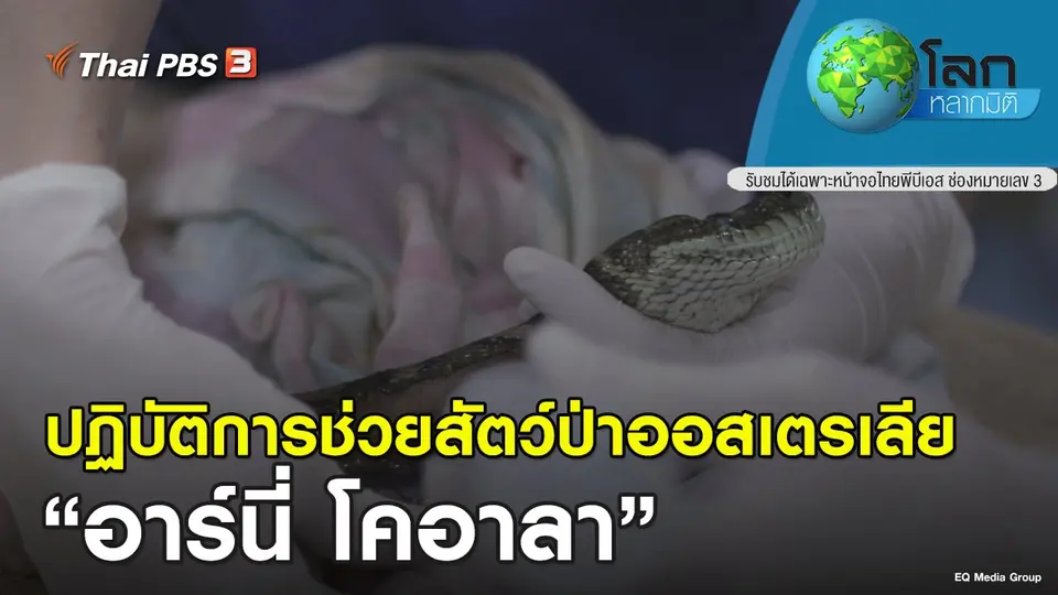 โลกหลากมิติ