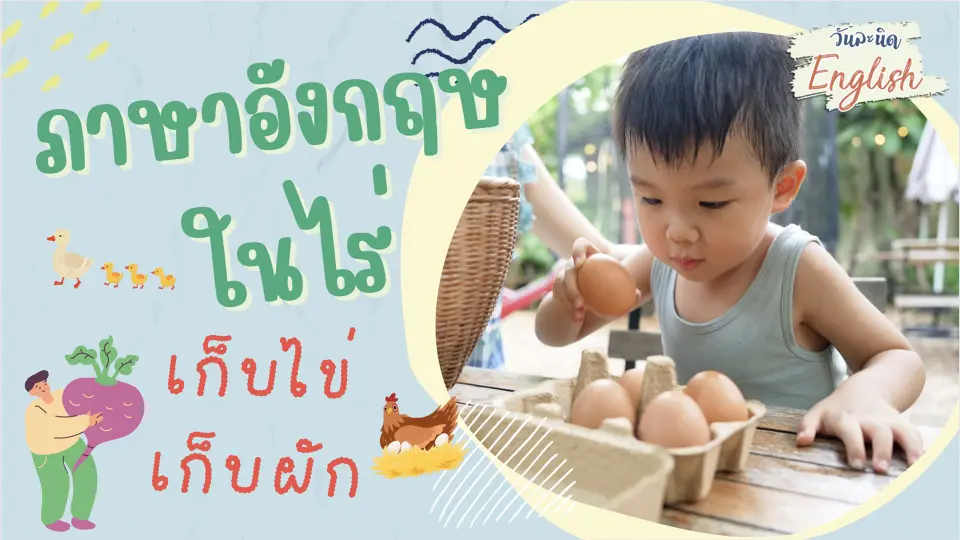 วันละนิด English - ภาษาอังกฤษในไร่ เก็บไข่ เก็บผัก
