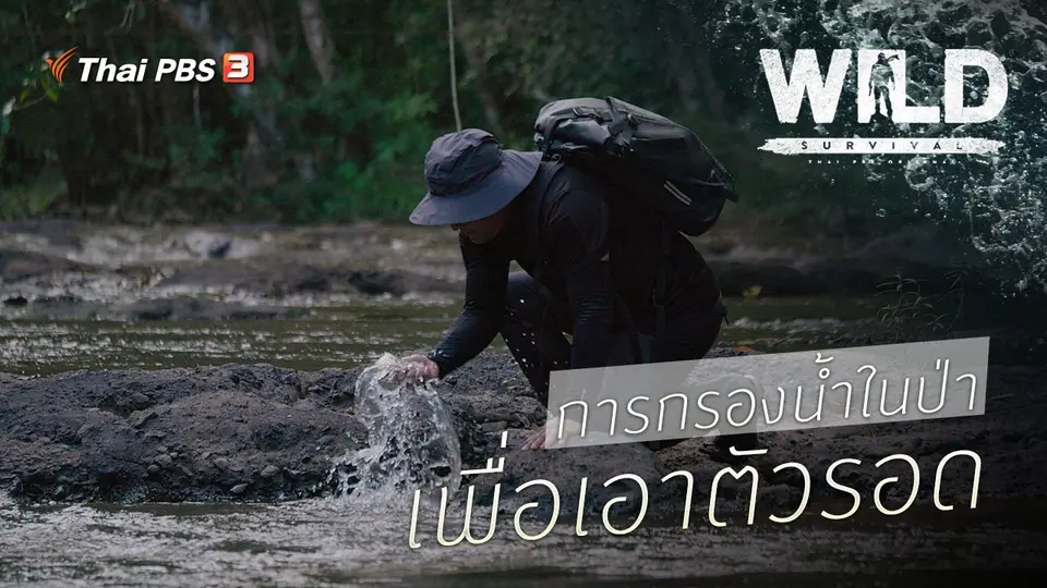 WILD SURVIVAL