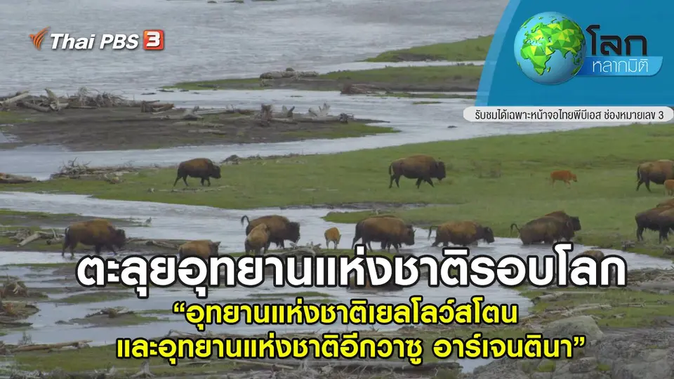 โลกหลากมิติ