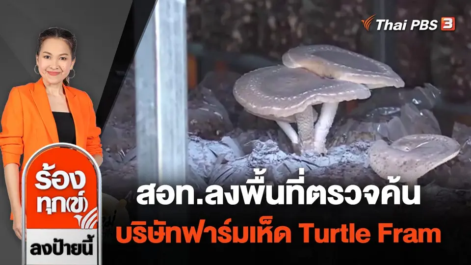 สอท.ลงพื้นที่ตรวจค้น บริษัทฟาร์มเห็ด Turtle Fram จ.สกลนคร