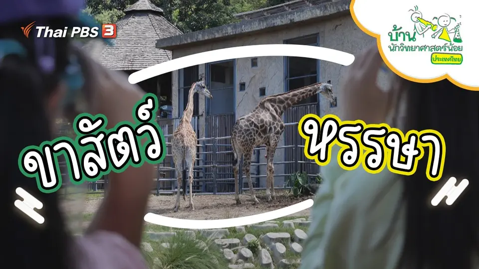 ขาสัตว์หรรษา