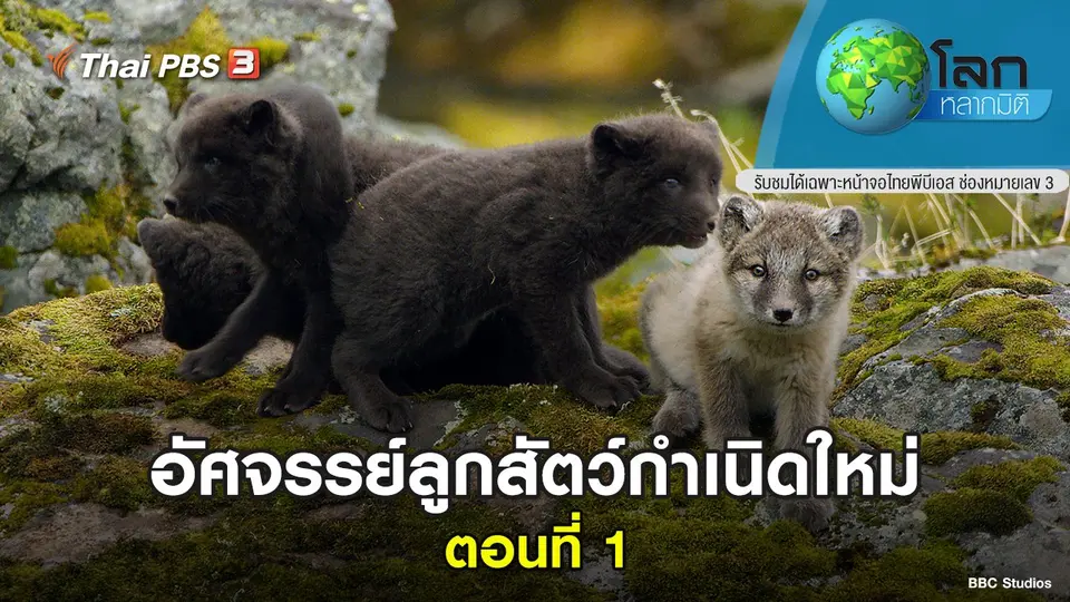 โลกหลากมิติ