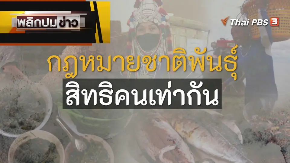 กฎหมายชาติพันธุ์ สิทธิคนเท่ากัน