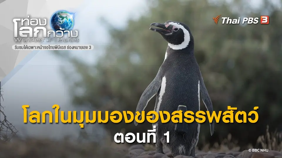 ท่องโลกกว้าง