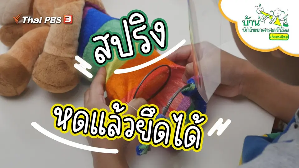 หดแล้วยึดได้