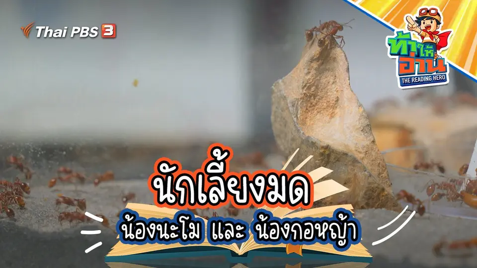 นักเลี้ยงมด : น้องนะโม และ น้องกอหญ้า