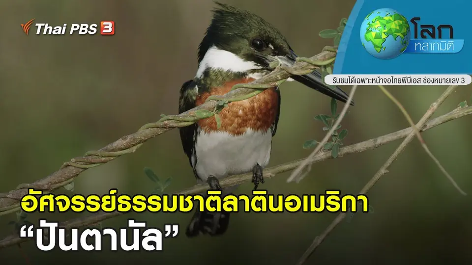 โลกหลากมิติ