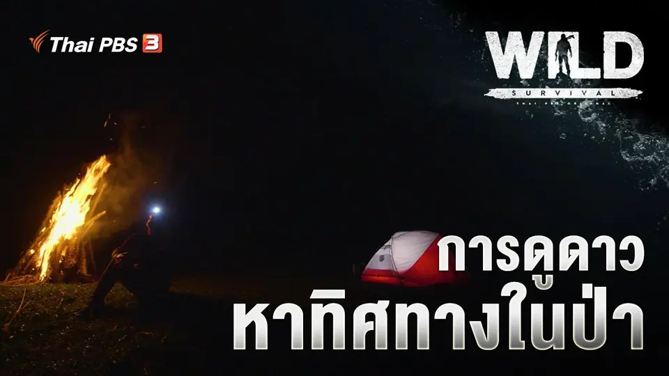 การดูดาว หาทิศทางในป่า