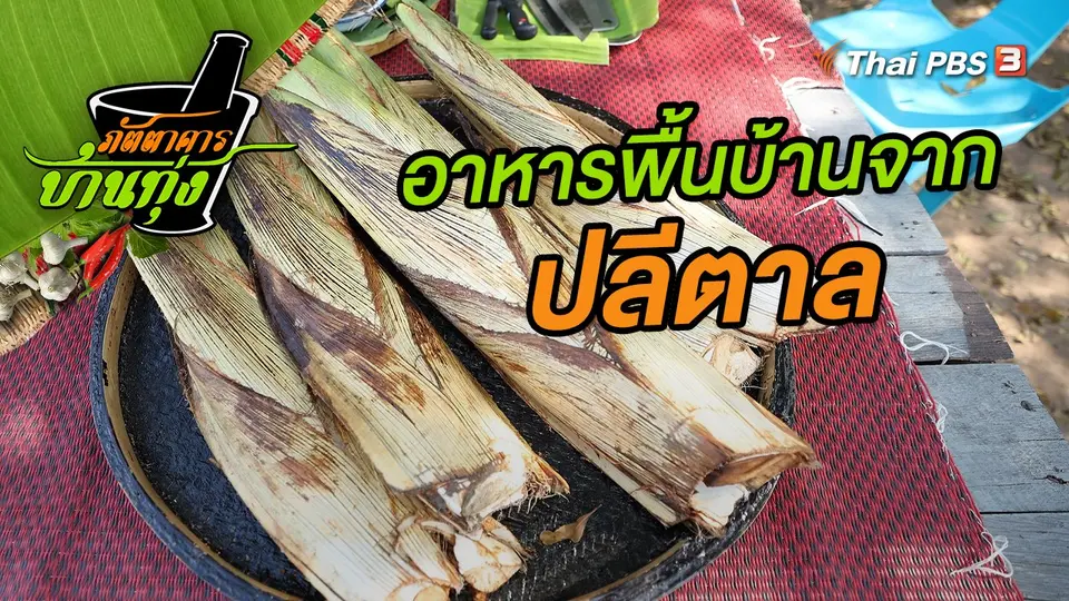 ปลีตาล