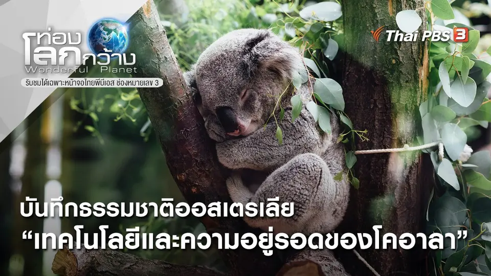 ท่องโลกกว้าง