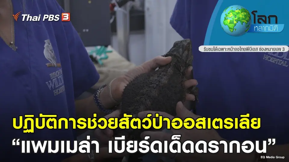 โลกหลากมิติ