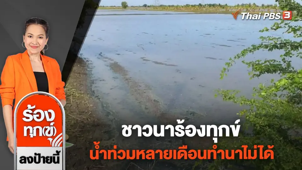 ชาวนาร้องทุกข์ น้ำท่วมหลายเดือนทำนาไม่ได้ จ.สระบุรี