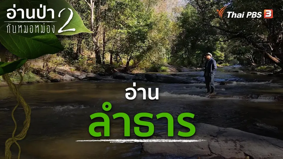 อ่านป่ากับหมอหม่อง