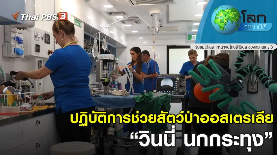 โลกหลากมิติ