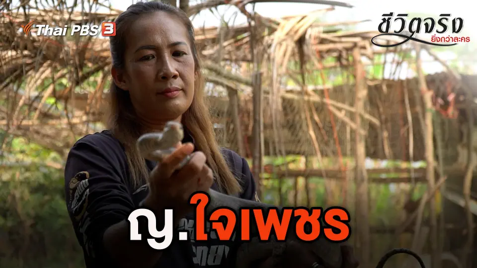 ชีวิตจริงยิ่งกว่าละคร
