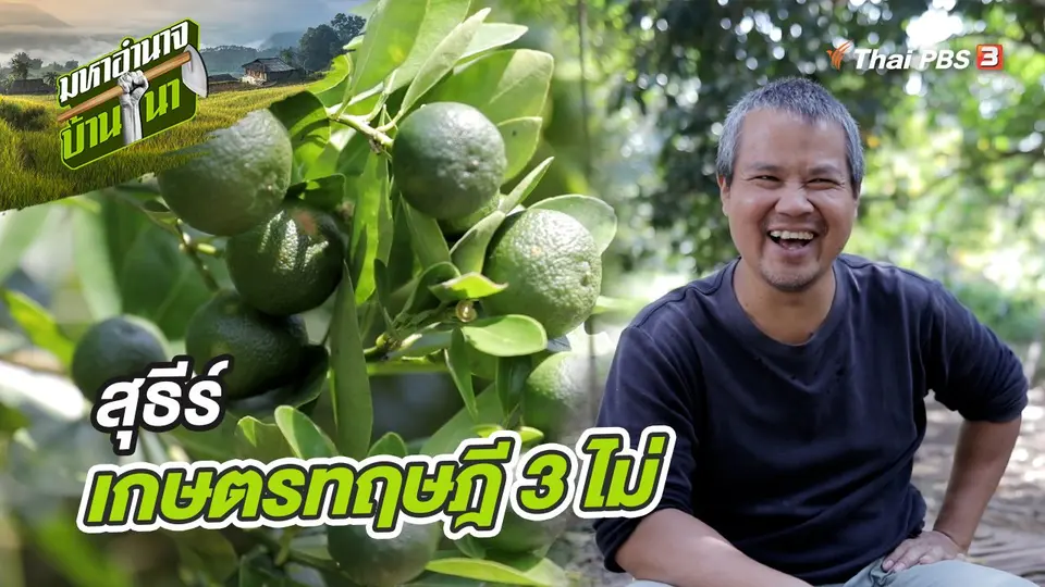 มหาอำนาจบ้านนา