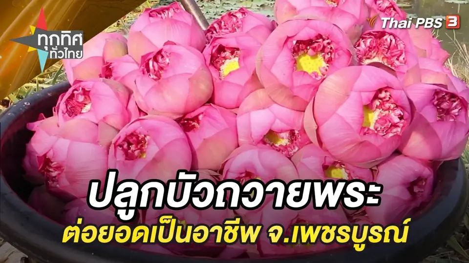 ทุกทิศทั่วไทย
