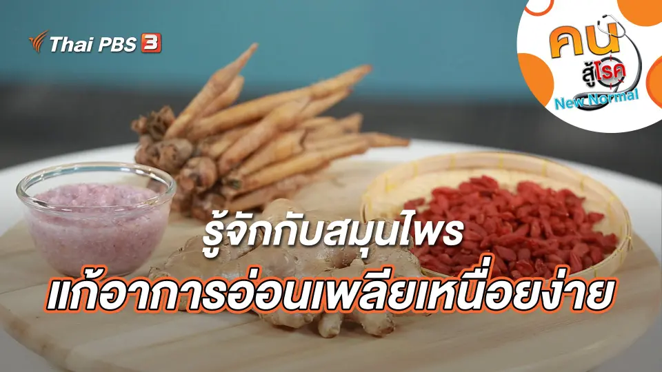 คนสู้โรค