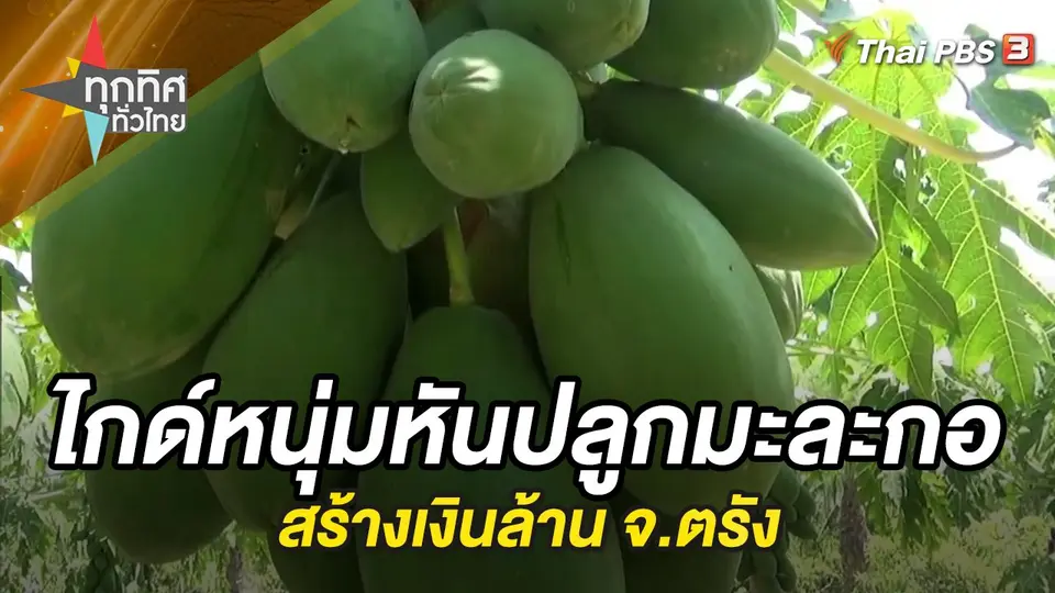 ทุกทิศทั่วไทย