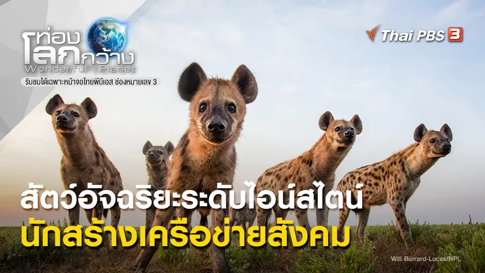 ท่องโลกกว้าง