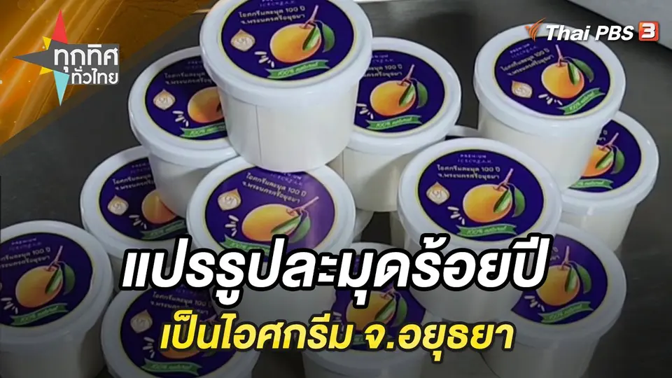 แปรรูปละมุดร้อยปีเป็นไอศกรีม จ.อยุธยา