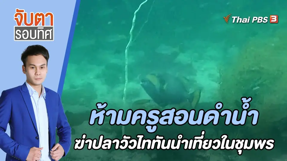 ห้ามครูสอนดำน้ำฆ่าปลาวัวไททันนำเที่ยวในชุมพร | 1 พ.ค. 66