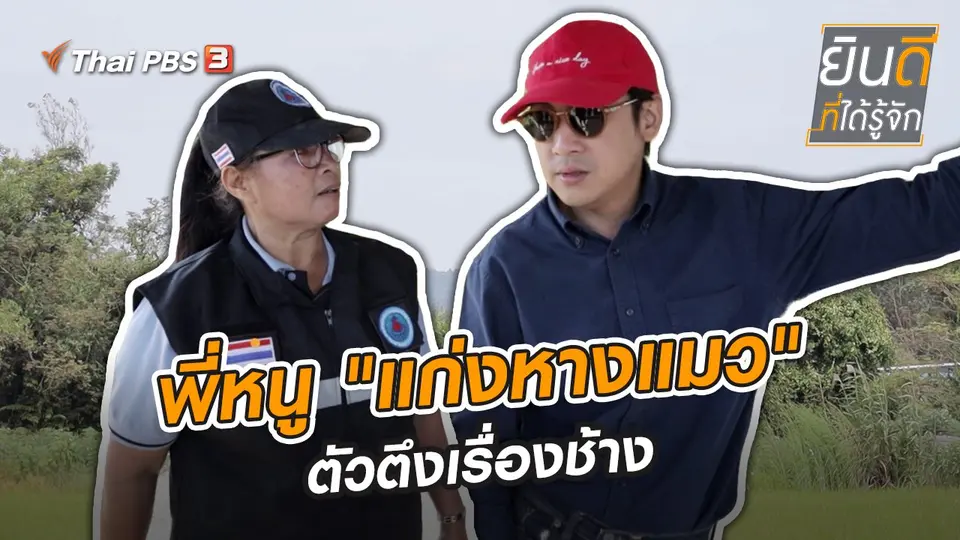 พี่หนู "แก่งหางแมว" ตัวตึงเรื่องช้าง