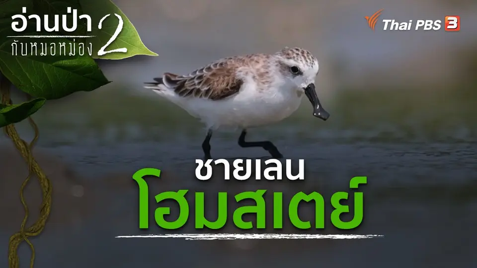 อ่านป่ากับหมอหม่อง