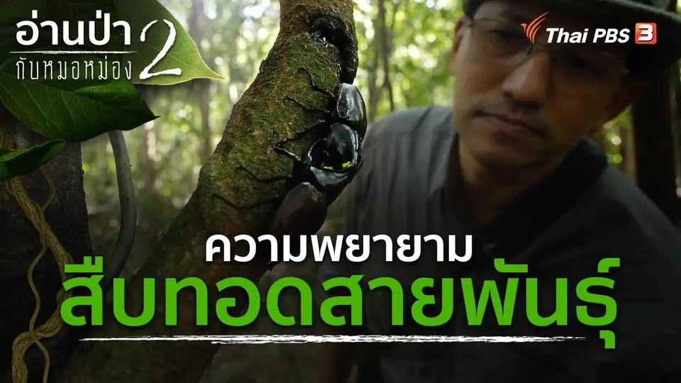 อ่านป่ากับหมอหม่อง