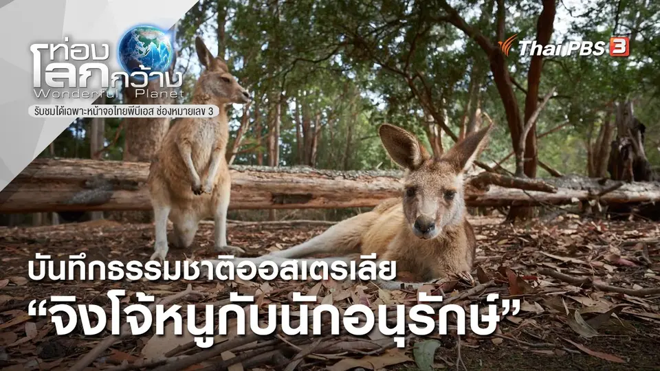 ท่องโลกกว้าง