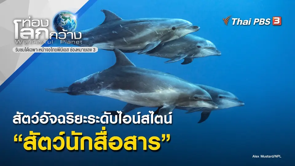 ท่องโลกกว้าง
