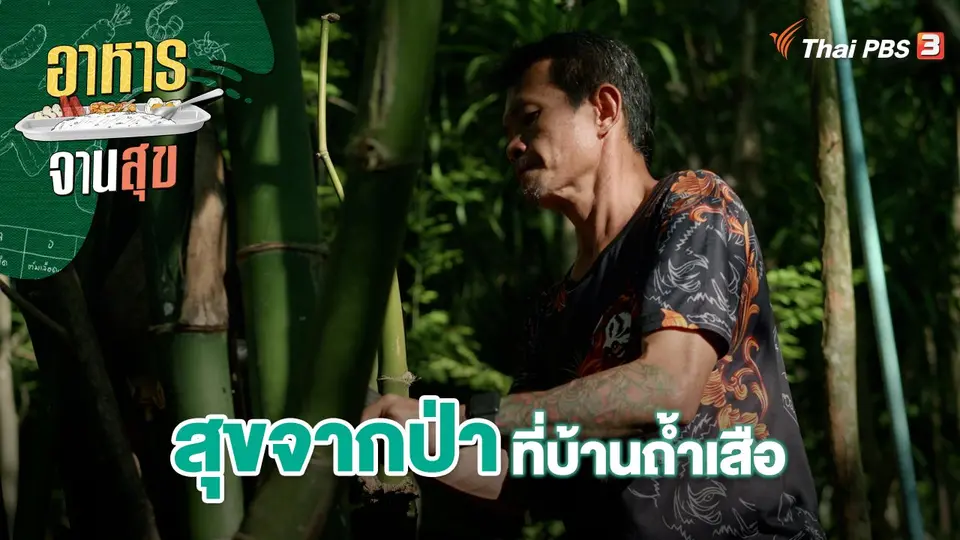 สุขจากป่าที่บ้านถ้ำเสือ