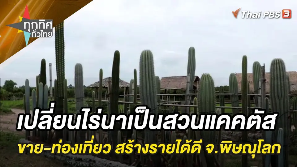 ทุกทิศทั่วไทย