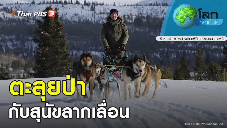 โลกหลากมิติ