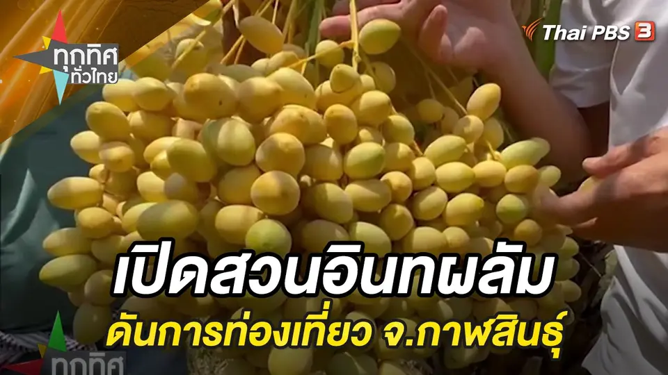 ทุกทิศทั่วไทย