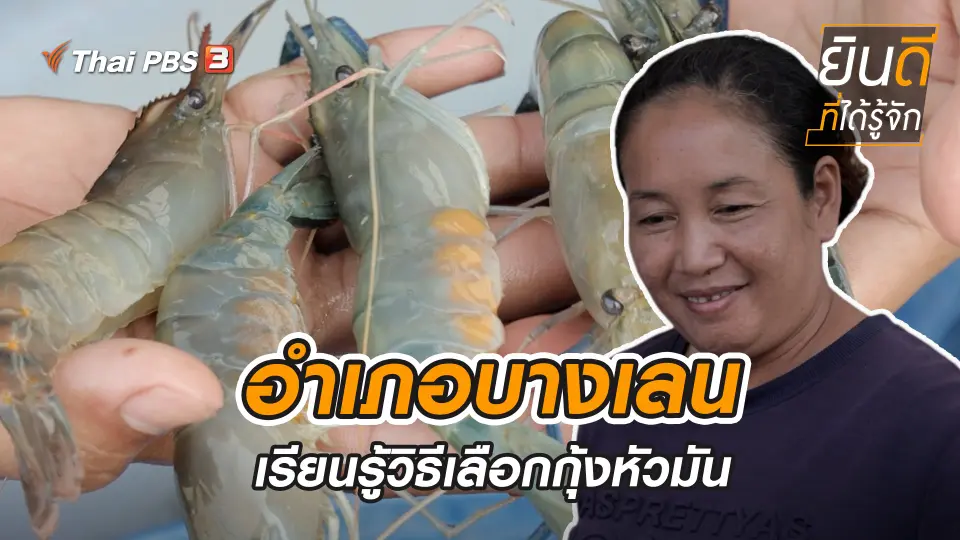 บางเลน