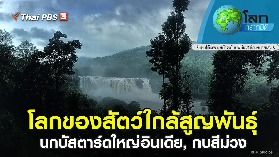 โลกหลากมิติ