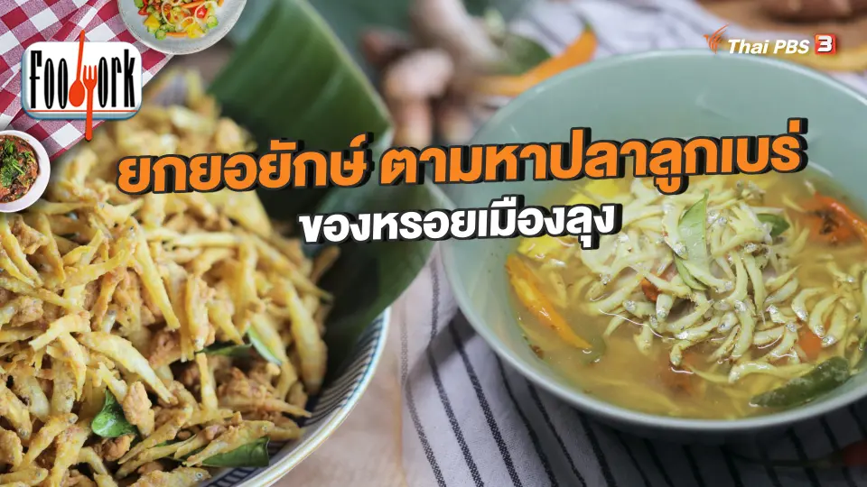 ยกยอยักษ์ ตามหาปลาลูกเบร่ ของหรอยเมืองลุง
