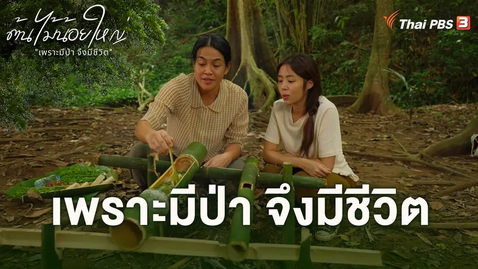 เพราะมีป่า จึงมีชีวิต