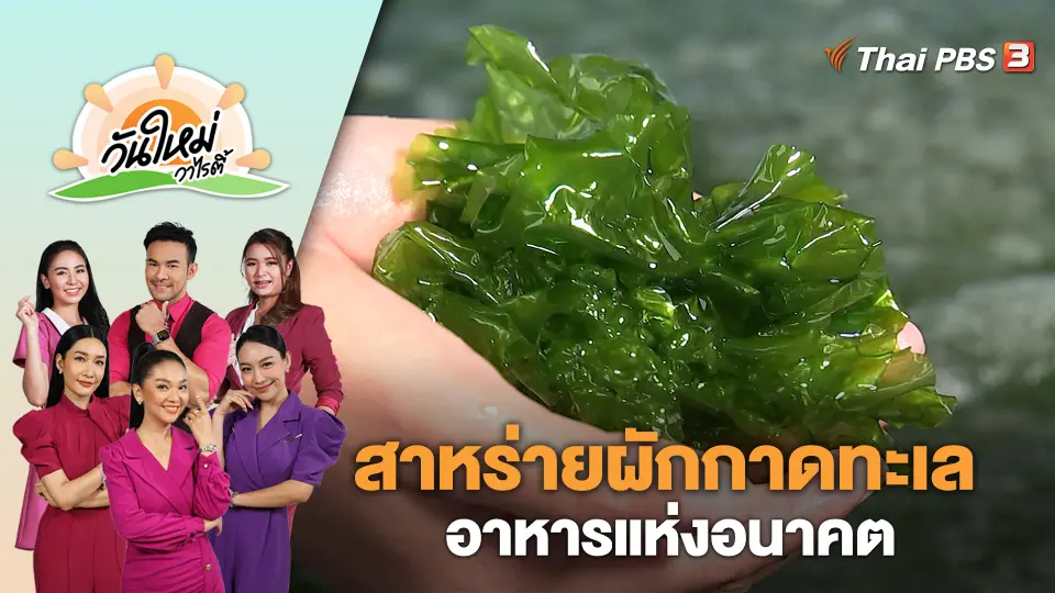 สาหร่ายผักกาดทะเล อาหารแห่งอนาคต | วันใหม่วาไรตี้ | 28 ส.ค. 66