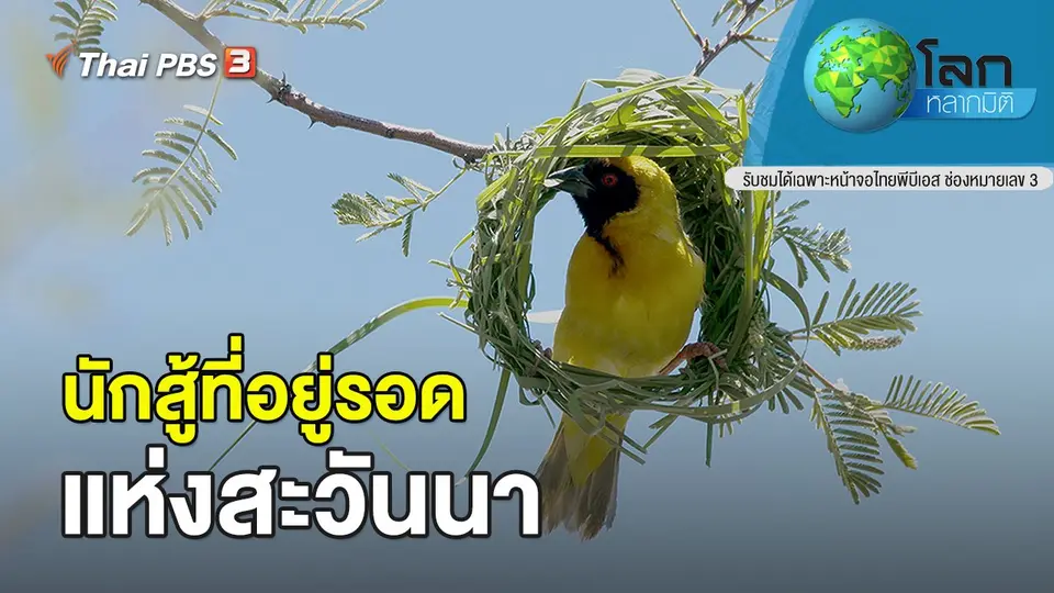 โลกหลากมิติ