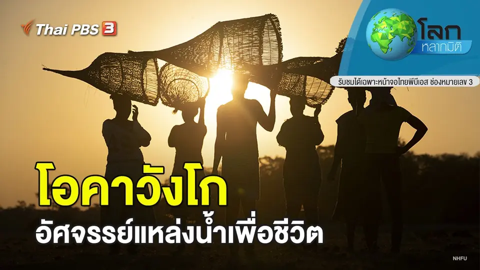 โลกหลากมิติ