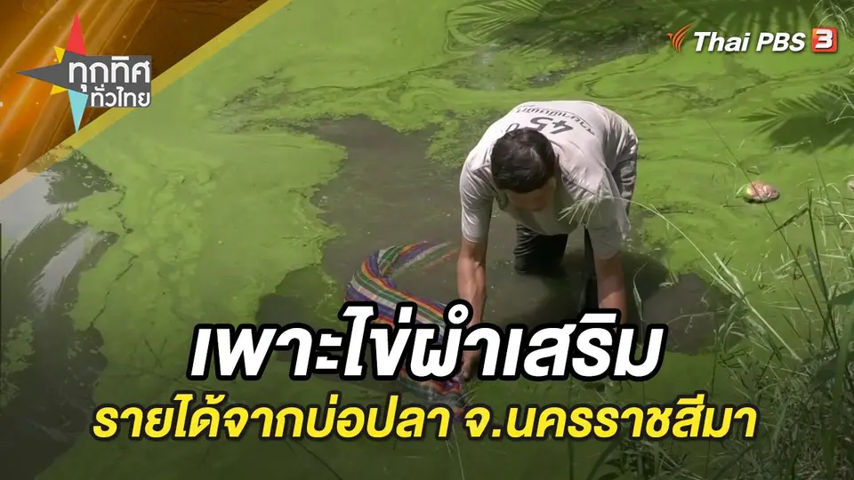 ทุกทิศทั่วไทย