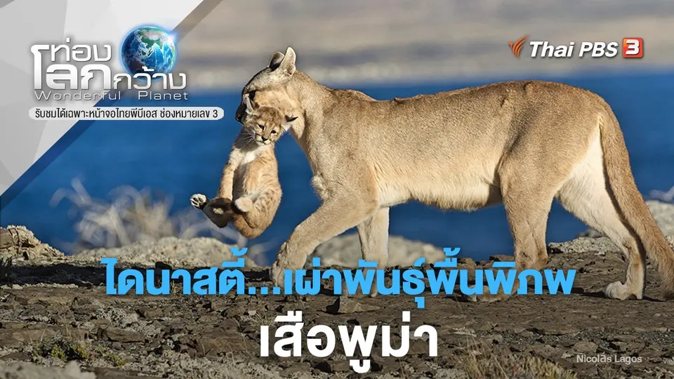 ท่องโลกกว้าง